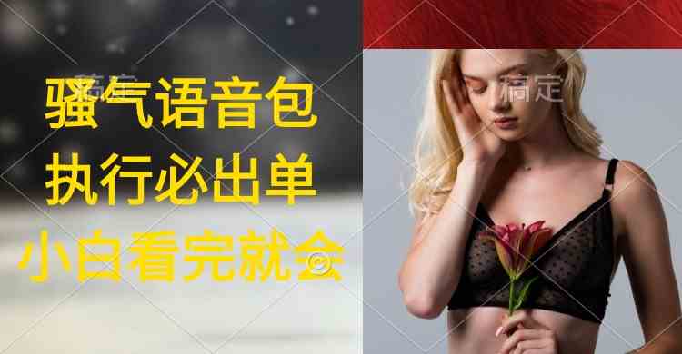 （9589期）执行就出单，日入2000+，超火骚气语音包，小白看完课程就能马上实操-喃哩哩
