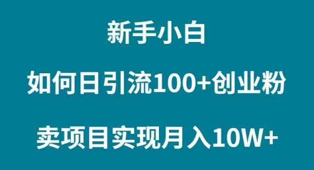 （9556期）新手小白如何通过卖项目实现月入10W+-喃哩哩