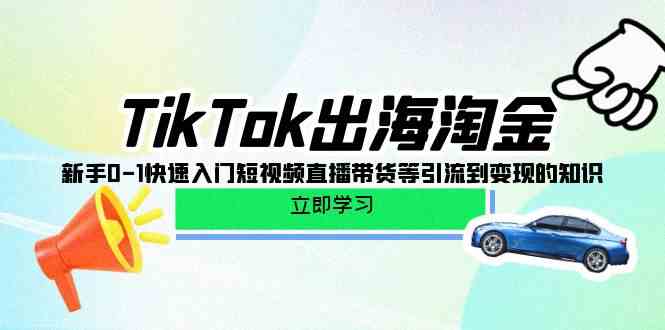 （10035期）TikTok-出海淘金，新手0-1快速入门短视频直播带货等引流到变现的知识-喃哩哩
