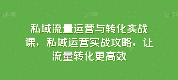 私域流量运营与转化实战课，私域运营实战攻略，让流量转化更高效-喃哩哩