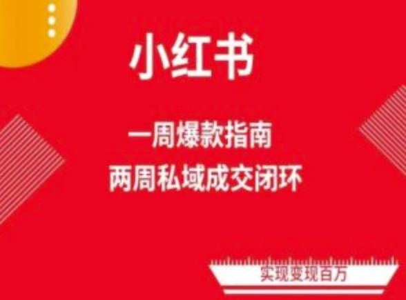 爆款小红书免费流量体系课程(两周变现)，小红书电商教程-喃哩哩