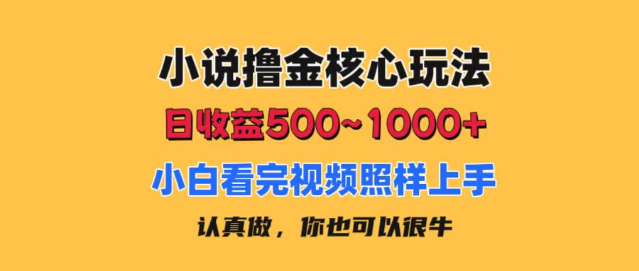 小说撸金核心玩法，日收益500-1000+，小白看完照样上手，0成本有手就行-喃哩哩