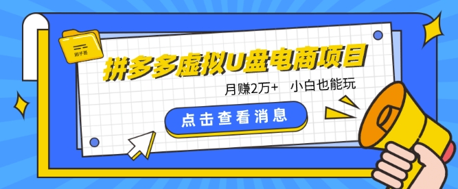 拼多多虚拟U盘电商红利项目：月赚2万+，新手小白也能玩-喃哩哩