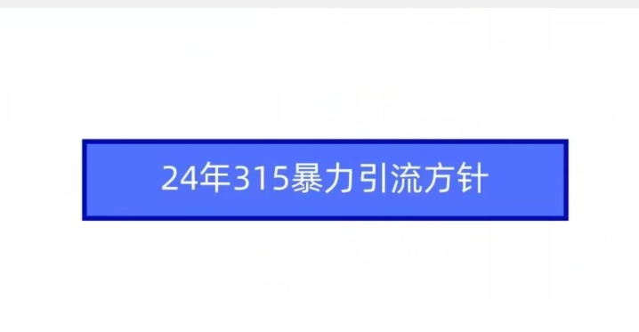 24年315暴力引流方针-喃哩哩