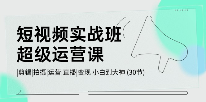 短视频实战班超级运营课 |剪辑|拍摄|运营|直播|变现 小白到大神 (30节)-喃哩哩