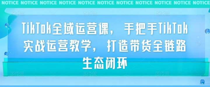 TikTok全域运营课，手把手TikTok实战运营教学，打造带货全链路生态闭环-喃哩哩