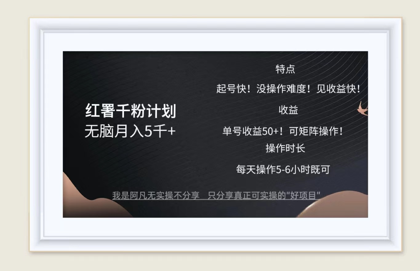（12560期）红薯千粉计划无脑月入5千+！既做既赚！-喃哩哩