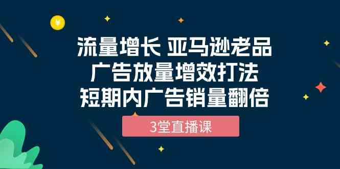 （10112期）流量增长 亚马逊老品广告放量增效打法，短期内广告销量翻倍（3堂直播课）-喃哩哩
