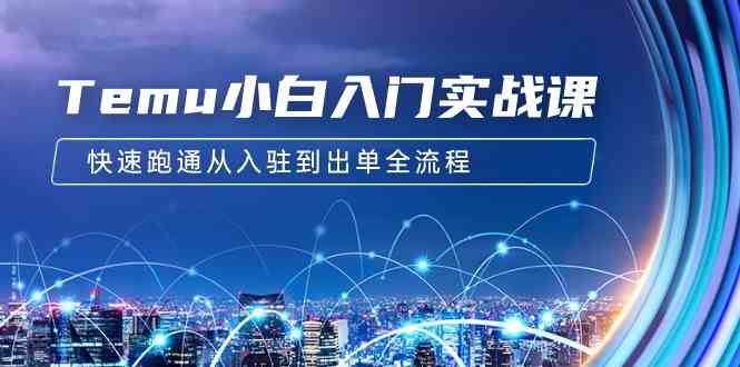 （9295期）Temu小白入门实战课：跨境拼多多电商培训 快速跑通从入驻到出单全流程-12节-喃哩哩