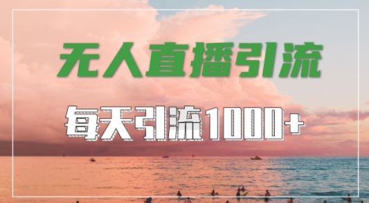 抖音快手视频号全平台通用，无人直播引流法，超暴力引流1000+高质量精准创业粉【揭秘】-喃哩哩