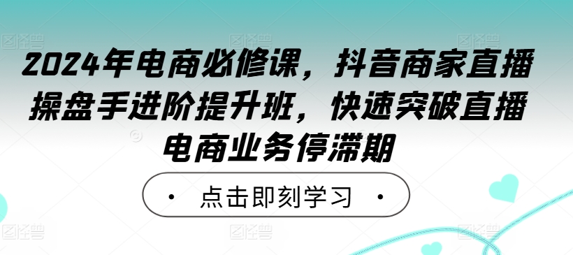 2024年电商必修课，抖音商家直播操盘手进阶提升班，快速突破直播电商业务停滞期-喃哩哩