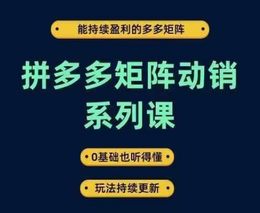 拼多多矩阵动销系列课，能持续盈利的多多矩阵，0基础也听得懂，玩法持续更新-喃哩哩