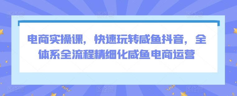 电商实操课，快速玩转咸鱼抖音，全体系全流程精细化咸鱼电商运营-喃哩哩