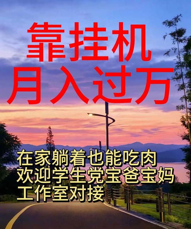 （10838期）靠挂机，日入1000+，躺着也能吃肉，适合宝爸宝妈学生党工作室，电脑手…-喃哩哩