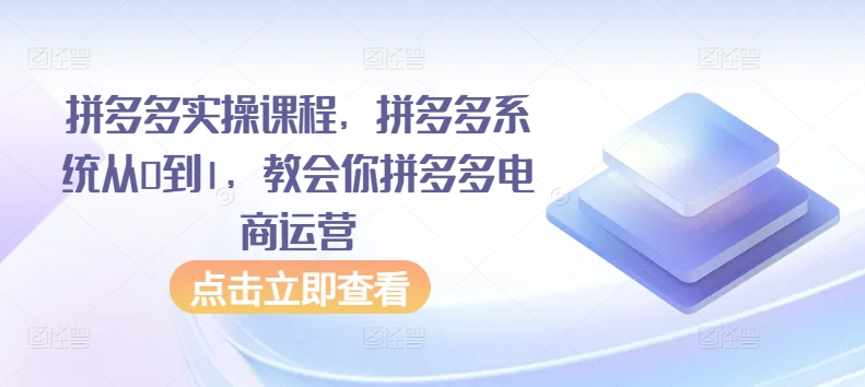 拼多多实操课程，拼多多系统从0到1，教会你拼多多电商运营-喃哩哩