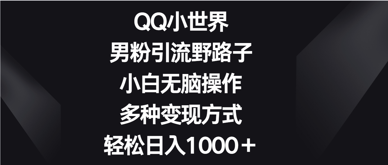 QQ小世界男粉引流野路子，小白无脑操作，多种变现方式轻松日入1000＋-喃哩哩