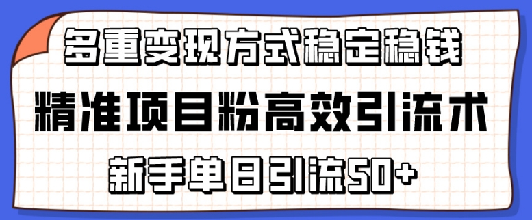 精准项目粉高效引流术，新手单日引流50+，多重变现方式稳定赚钱-喃哩哩
