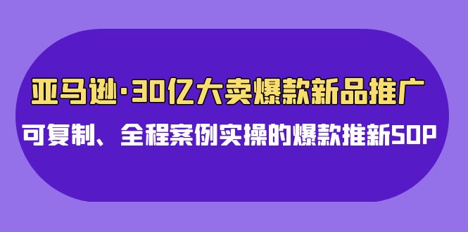 亚马逊30亿大卖爆款新品推广，可复制、全程案例实操的爆款推新SOP-喃哩哩