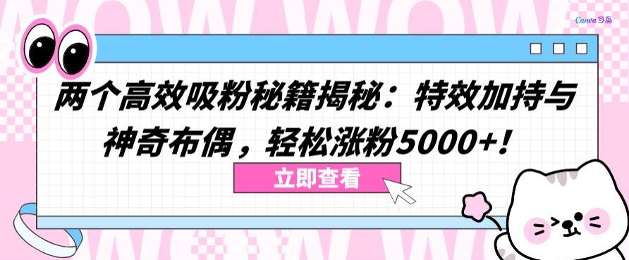 两个高效吸粉秘籍揭秘：特效加持与神奇布偶，轻松涨粉5000+-喃哩哩