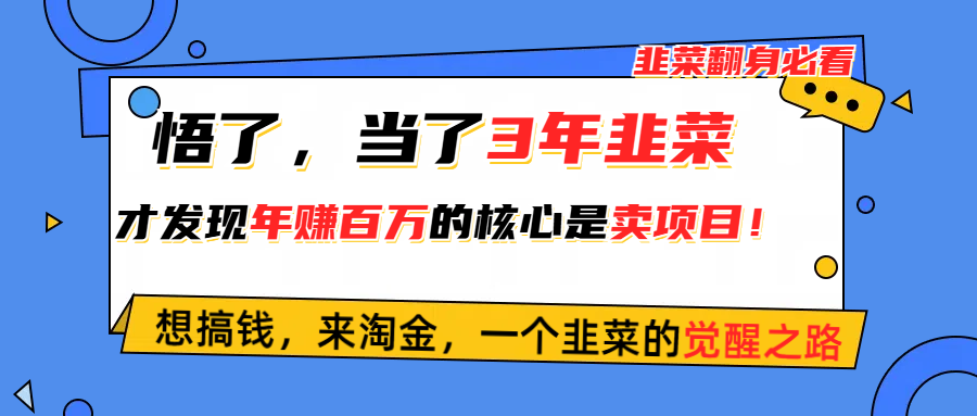 （10759期）悟了，当了3年韭菜，才发现网赚圈年赚100万的核心是卖项目，含泪分享！-喃哩哩