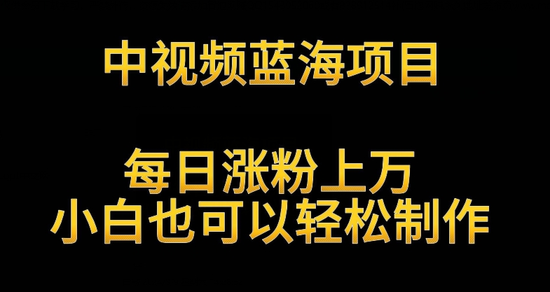 中视频蓝海项目，解读英雄人物生平，每日涨粉上万，小白也可以轻松制作，月入过万不是梦-喃哩哩
