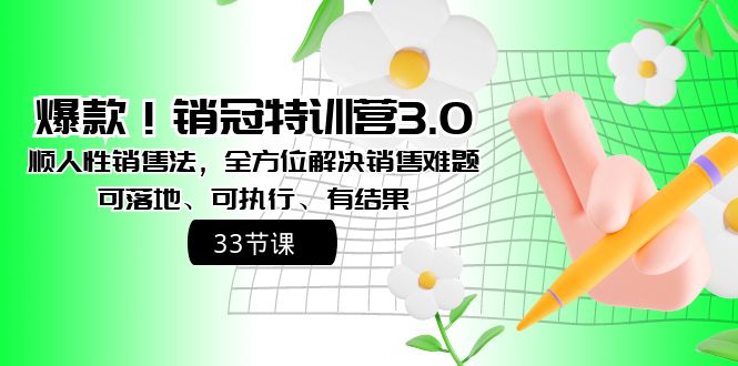 爆款！销冠特训营3.0之顺人性销售法，全方位解决销售难题、可落地-喃哩哩