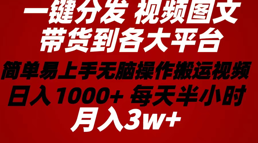 （10667期）2024年 一键分发带货图文视频  简单易上手 无脑赚收益 每天半小时日入1…-喃哩哩