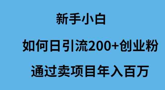 （9668期）新手小白如何日引流200+创业粉通过卖项目年入百万-喃哩哩