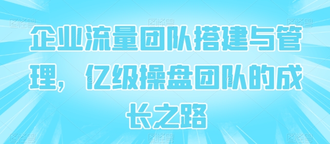 企业流量团队搭建与管理，亿级操盘团队的成长之路-喃哩哩