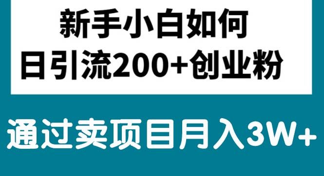 （10843期）新手小白日引流200+创业粉,通过卖项目月入3W+-喃哩哩