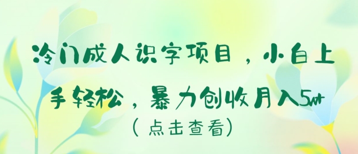 冷门成人识字项目，小白上手轻松，暴力创收月入5w+-喃哩哩