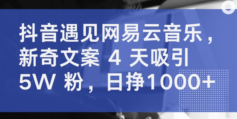 抖音遇见网易云音乐，新奇文案 4 天吸引 5W 粉，日挣1000+-喃哩哩