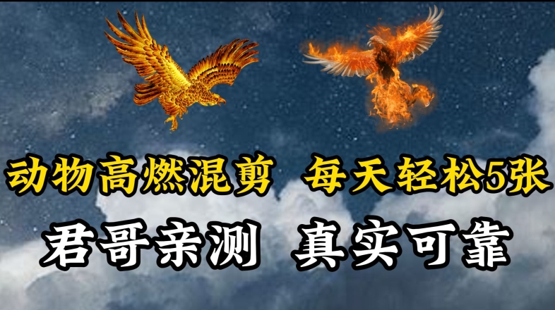 动物超燃混剪，每天轻松5张，剪辑简单大家爱看-喃哩哩