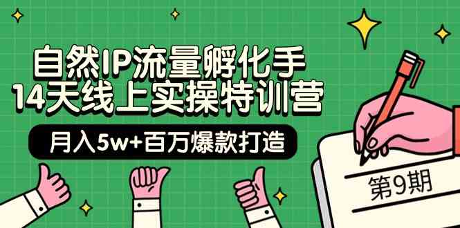 自然IP流量孵化手14天线上实操特训营【第9期】月入5w+百万爆款打造 (74节)-喃哩哩