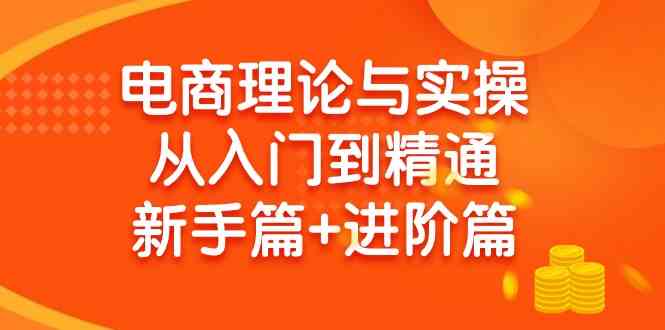 （9576期）电商理论与实操从入门到精通 新手篇+进阶篇-喃哩哩