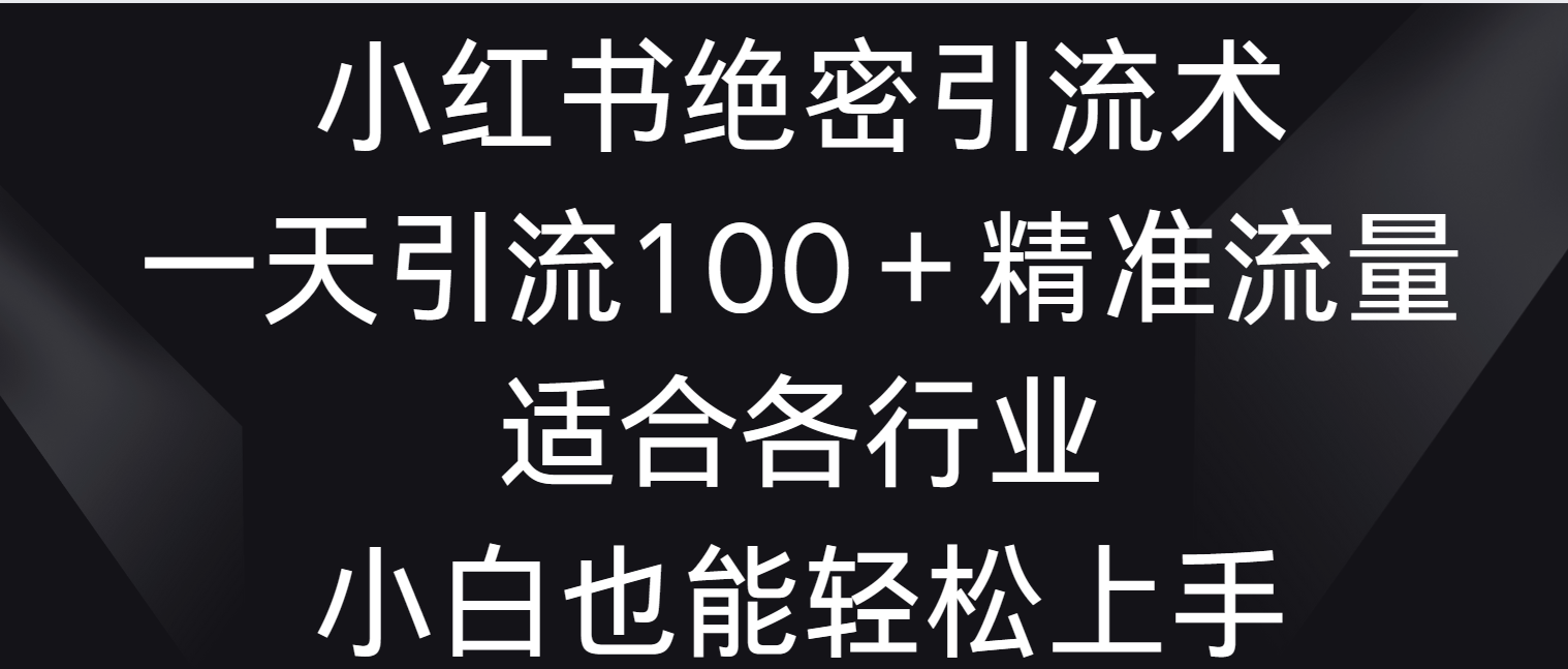 小红书绝密引流术，一天引流100＋精准流量，适合各个行业，小白也能轻松上手-喃哩哩
