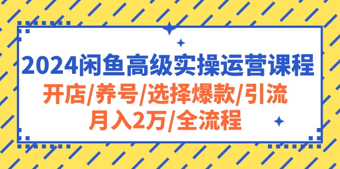 （10711期）2024闲鱼高级实操运营课程：开店/养号/选择爆款/引流/月入2万/全流程-喃哩哩