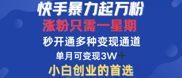 快手暴力起万粉，涨粉只需一星期，多种变现模式，直接秒开万合，单月变现过W【揭秘】-喃哩哩
