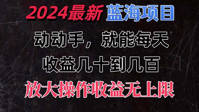 有手就行的2024全新蓝海项目，每天1小时收益几十到几百，可放大操作-喃哩哩