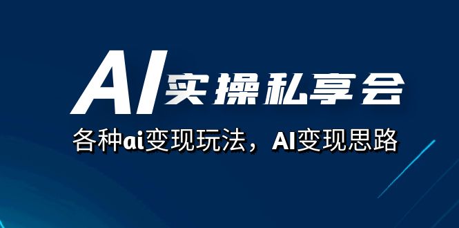 AI实操私享会，各种ai变现玩法，AI变现思路（67节课）-喃哩哩