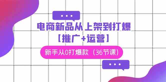 （9286期）电商 新品从上架到打爆【推广+运营】，新手从0打爆款（36节课）-喃哩哩