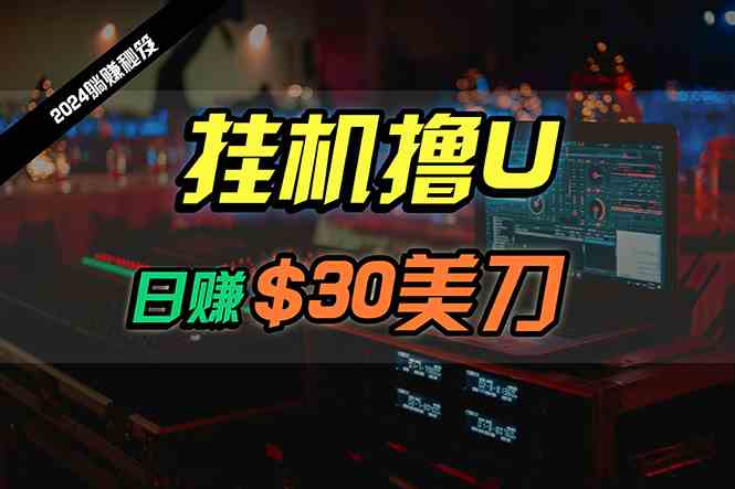 （10013期）日赚30美刀，2024最新海外挂机撸U内部项目，全程无人值守，可批量放大-喃哩哩