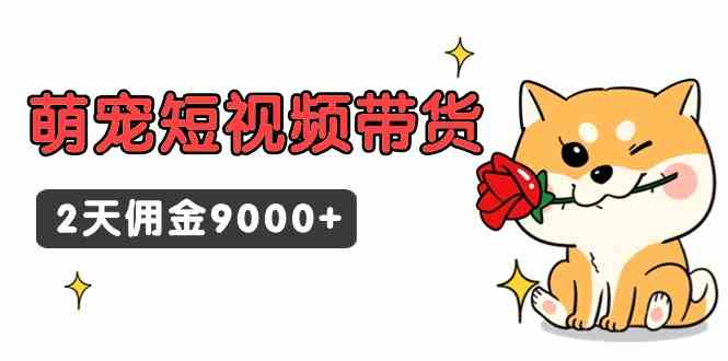 （9273期）东哲日记·萌宠短视频带货，2天佣金9000+-喃哩哩