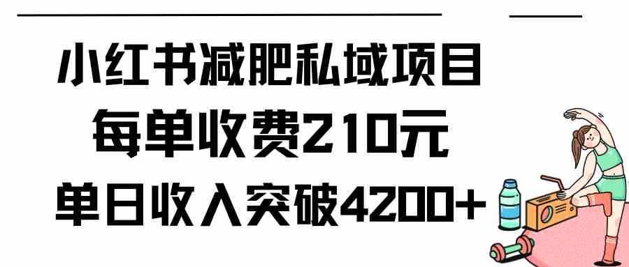 （9466期）小红书减肥私域项目每单收费210元单日成交20单，最高日入4200+-喃哩哩