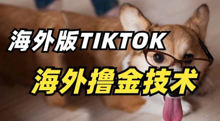 抖音海外版tiktok撸金技术，这个风口行业，赚钱真的不难-喃哩哩