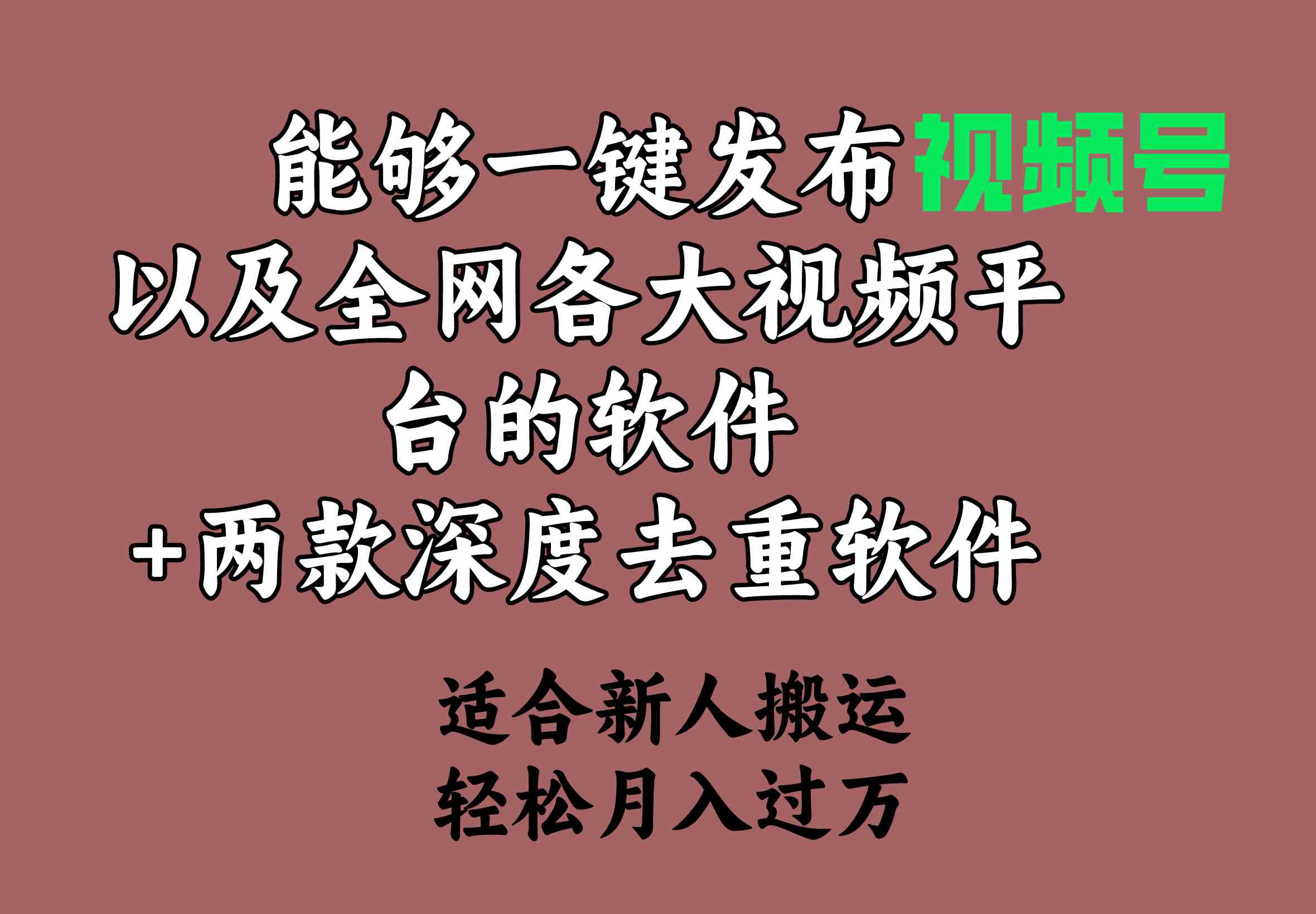 （9319期）能够一键发布视频号以及全网各大视频平台的软件+两款深度去重软件 适合…-喃哩哩