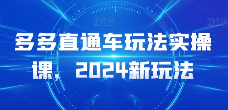 多多直通车玩法实操课，2024新玩法-喃哩哩