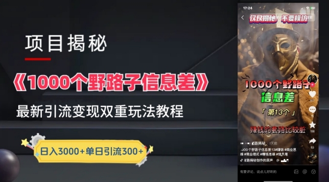 一千个野路子信息差最新玩法教程-变现+引流的玩法具体拆解-喃哩哩