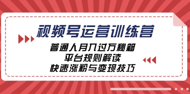 视频号运营训练营：普通人月入过万秘籍，平台规则解读，快速涨粉与变现-喃哩哩