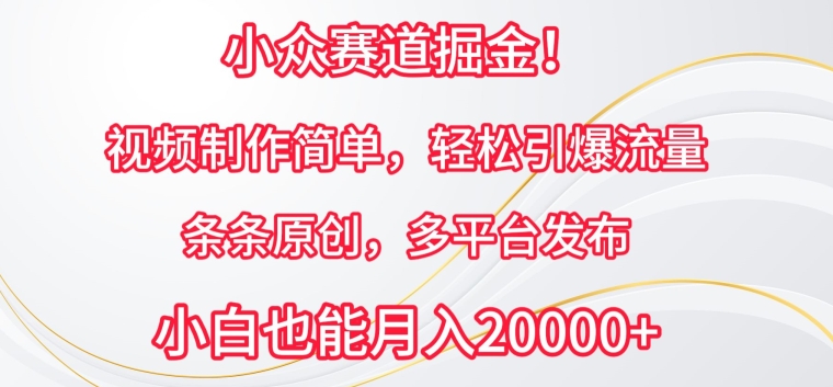 小众赛道掘金，视频制作简单，轻松引爆流量，条条原创，多平台发布-喃哩哩